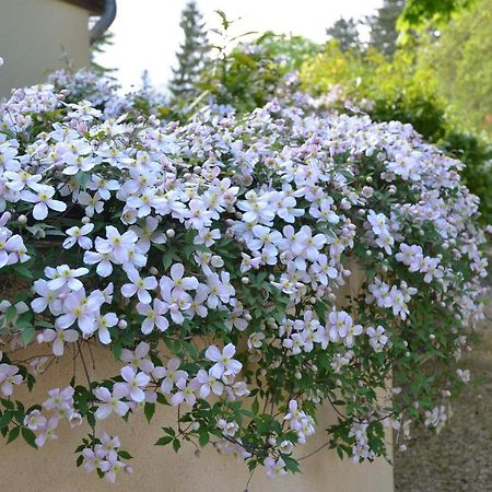 مبيت وإفطار جيفرني Le Clos Fleuri المظهر الخارجي الصورة